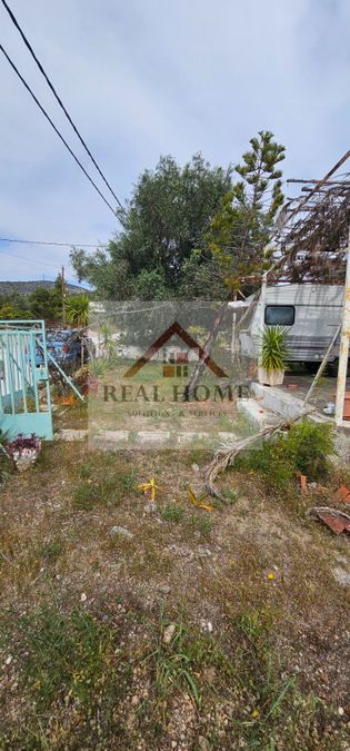 Photo 315181717