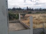 Photo 315418219