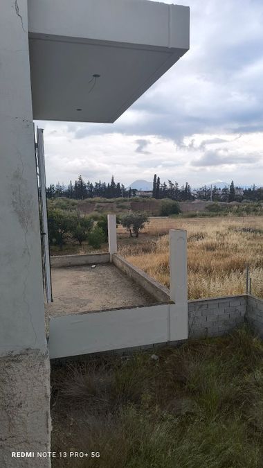 Photo 315418219