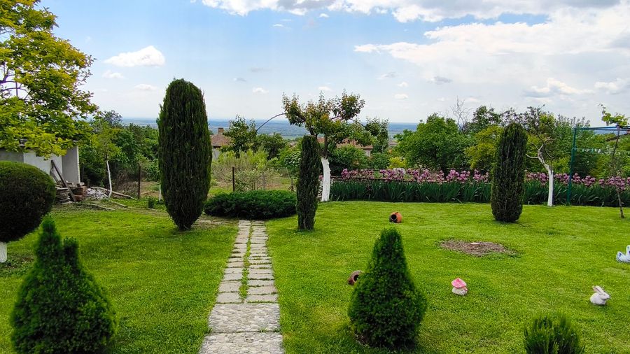 Снимка 315460201