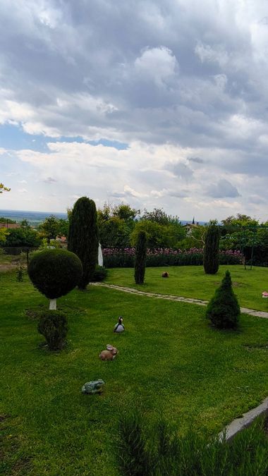 Снимка 315460204