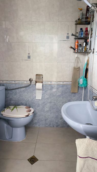 Снимка 315460213