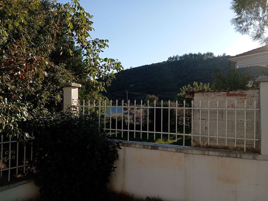 Photo 315657433