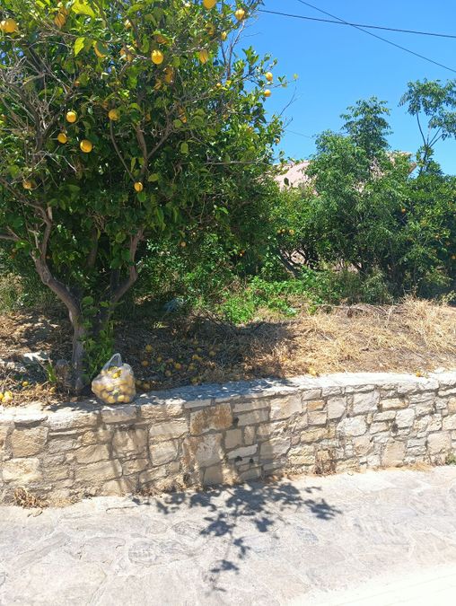 Fotografie 315872197