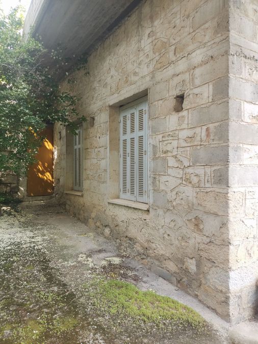 Photo 316045732