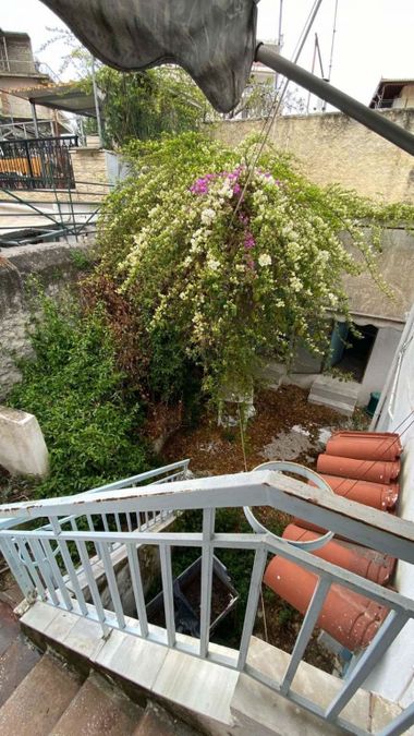 Photo 316208536