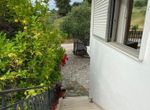 Photo 316216909