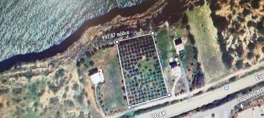 Sale, Plot, 5500m² Arkadi, Prinos | 17625932 | Spitogatos