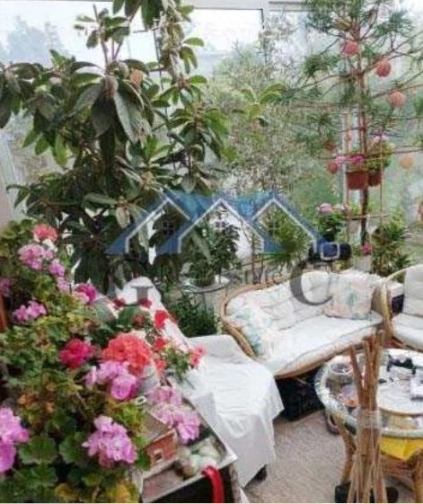 Снимка 316367689