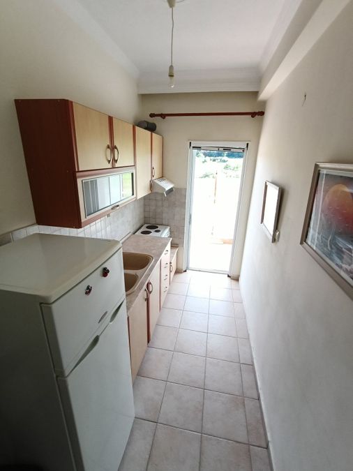 Fotografías 316520215