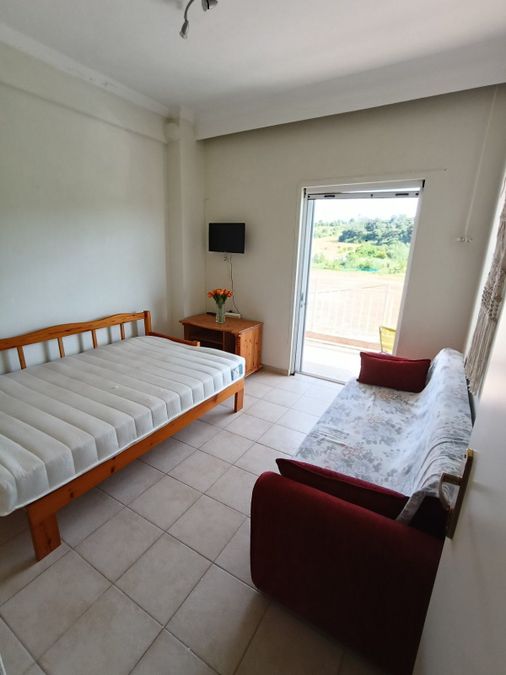 Fotografías 316520218