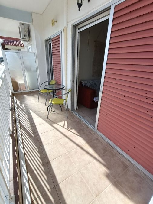 Fotografías 316520221