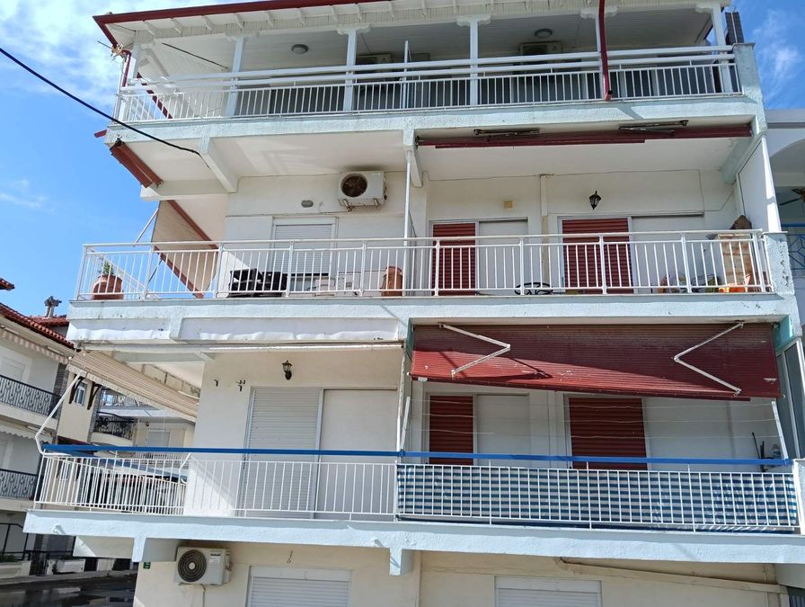 Fotografías 316520230