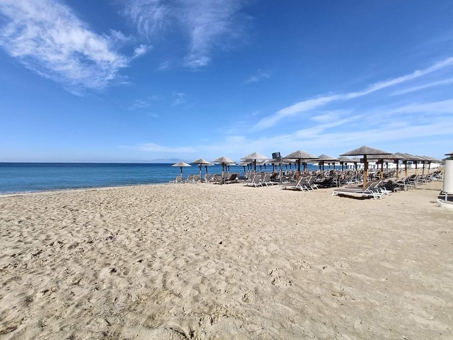 Fotografías 316520233