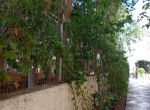 Photo 316722805