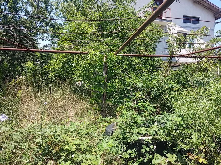 Снимка 316926799