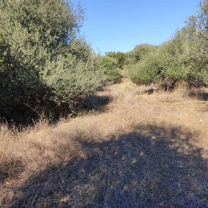 Photo 317110117