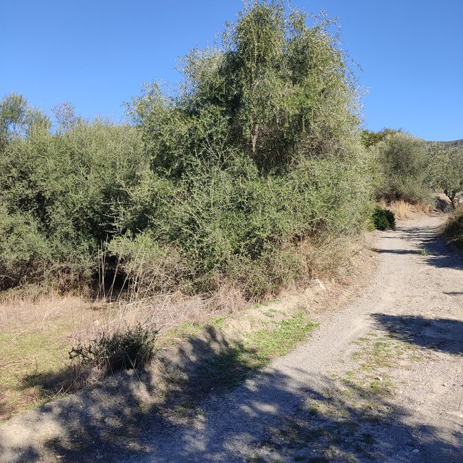 Photo 317110129
