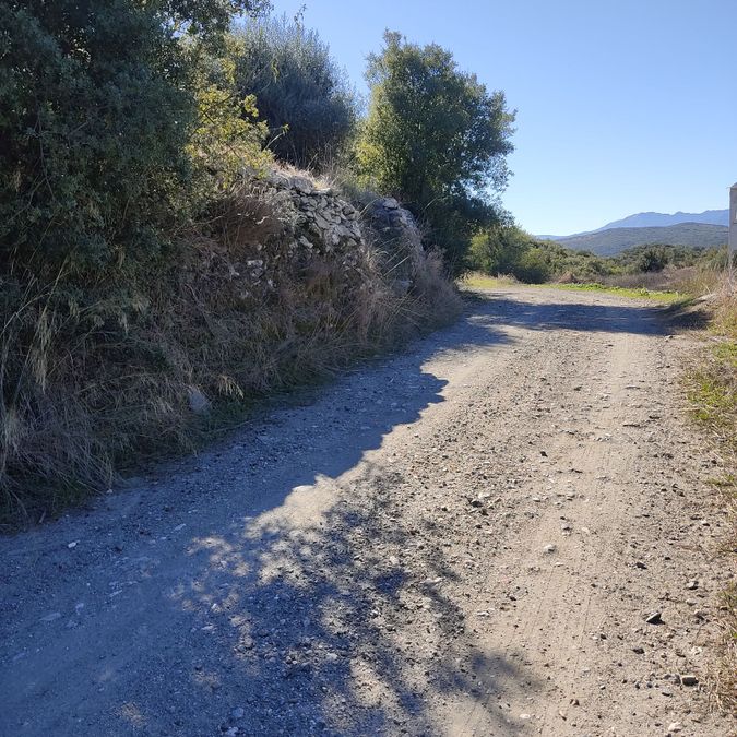 Photo 317110135