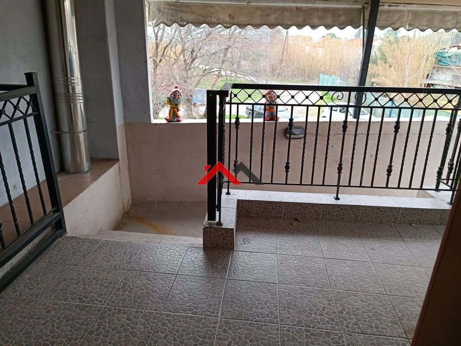 Photo 317169232