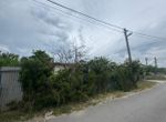 Photo 317390836