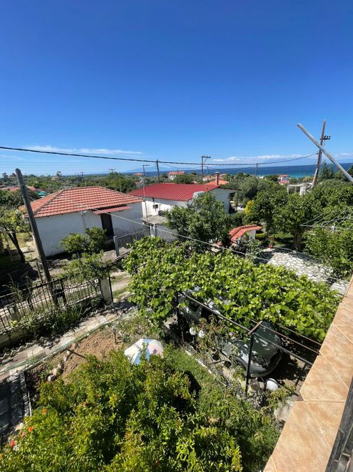 Fotografie 317575018