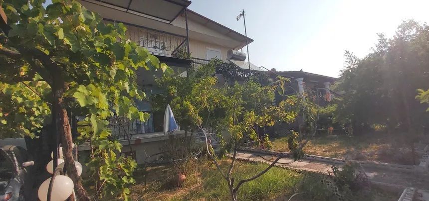 Fotografie 317575039