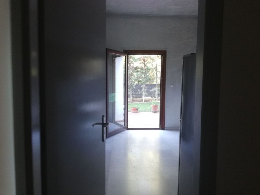 Photo 317716009