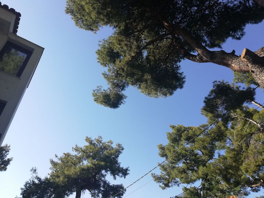 Photo 317716015