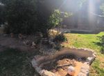 Photo 317776909