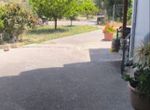 Photo 317867068