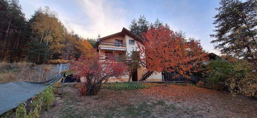 Снимка 317923936