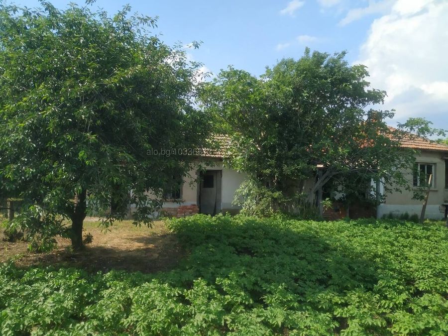 Снимка 318134251