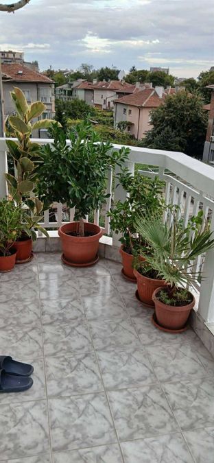 Снимка 318760972