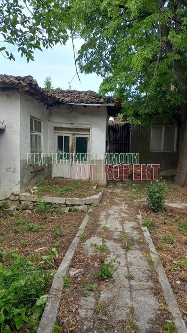 Снимка 318994573