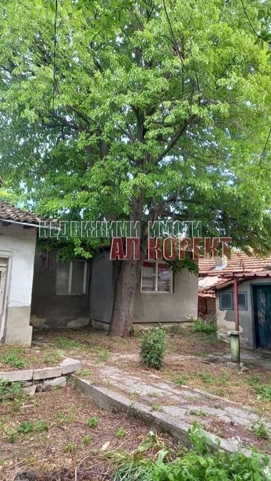 Снимка 318994579