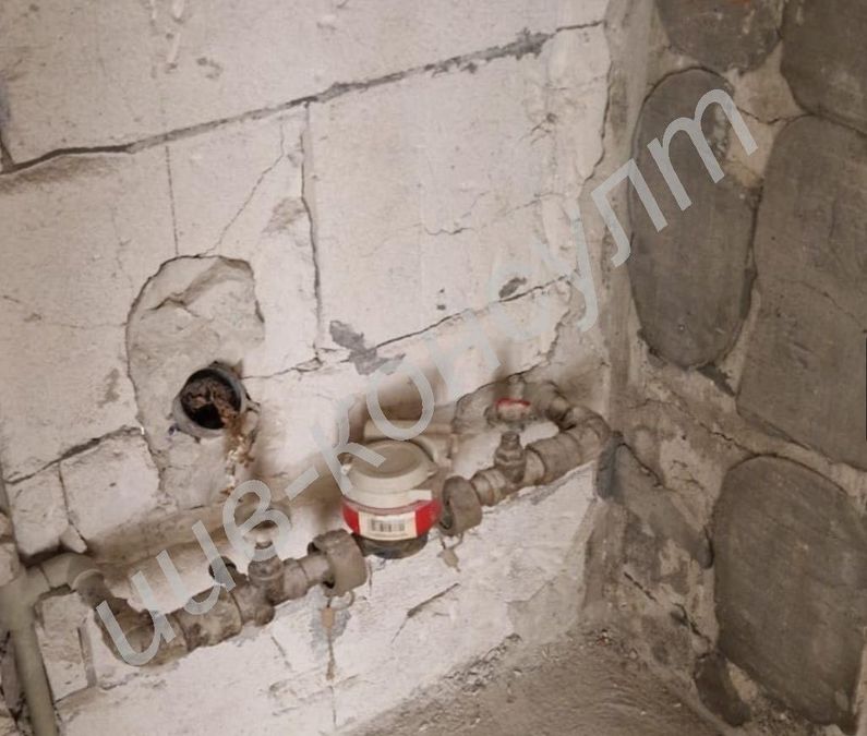 Снимка 319080205