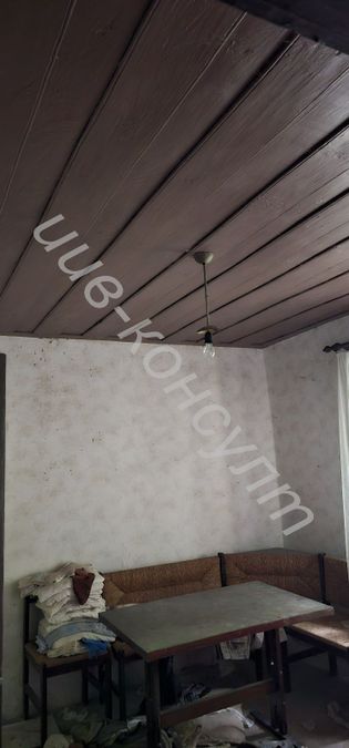 Снимка 319082491