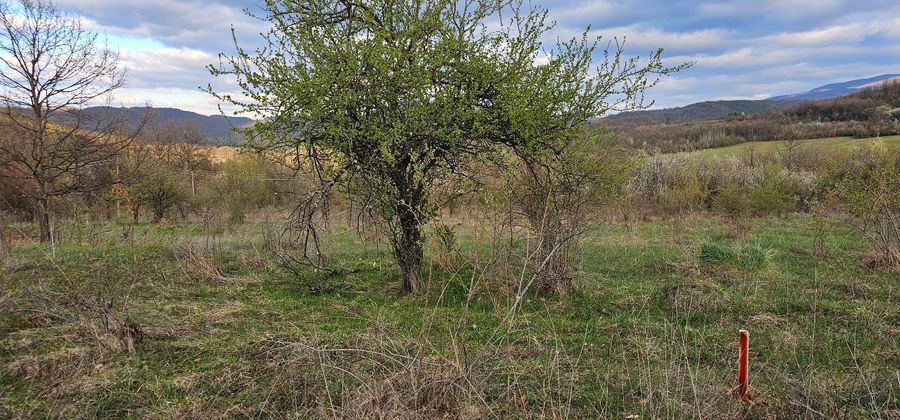 Снимка 319083100