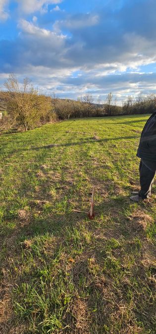 Снимка 319083103