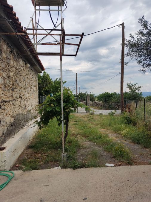 Photo 319403092