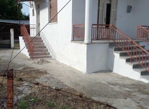 Μονοκατοικία προς πώληση Αμμουδιά (Σκοτούσσα) 65 τ.μ. 2 Υπνοδωμάτια
