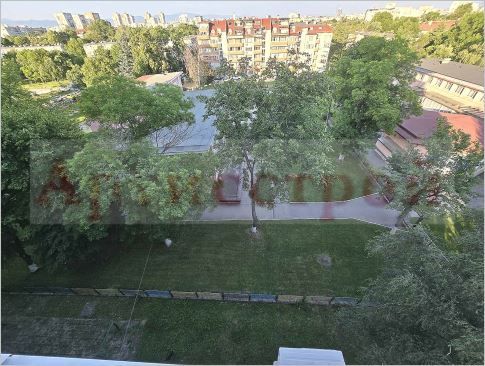 Снимка 319798549