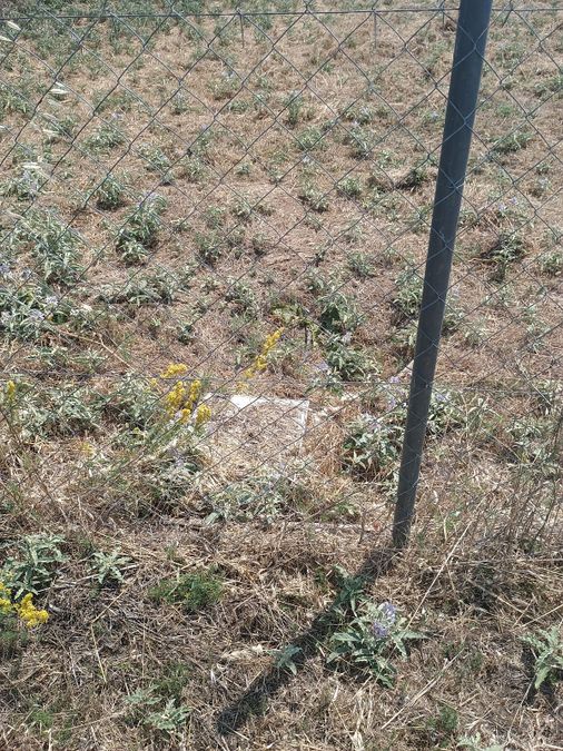Photo 320194885