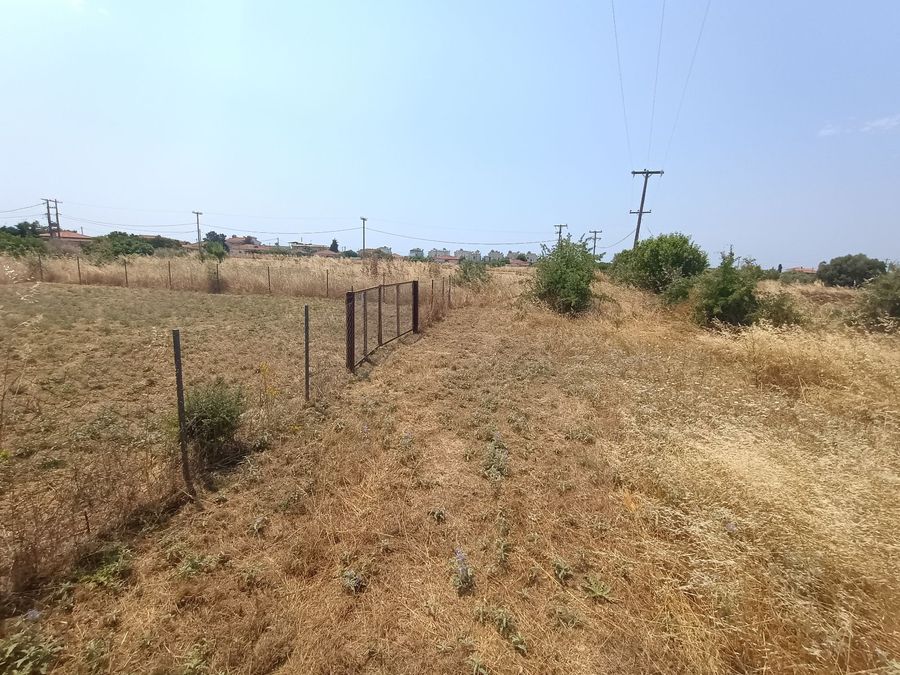 Photo 320194897