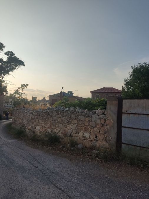 Photo 320198260