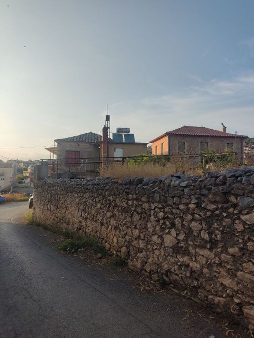 Photo 320198275