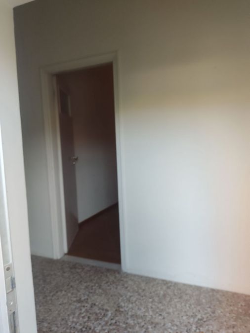 Photo 320198341