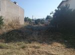 Photo 320409145
