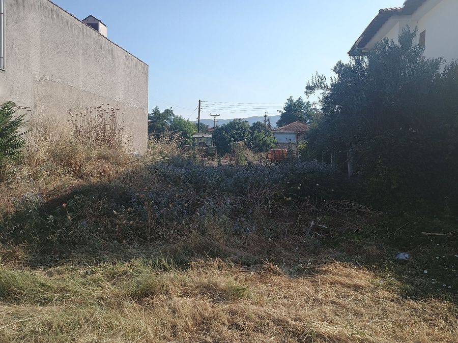 Photo 320409145